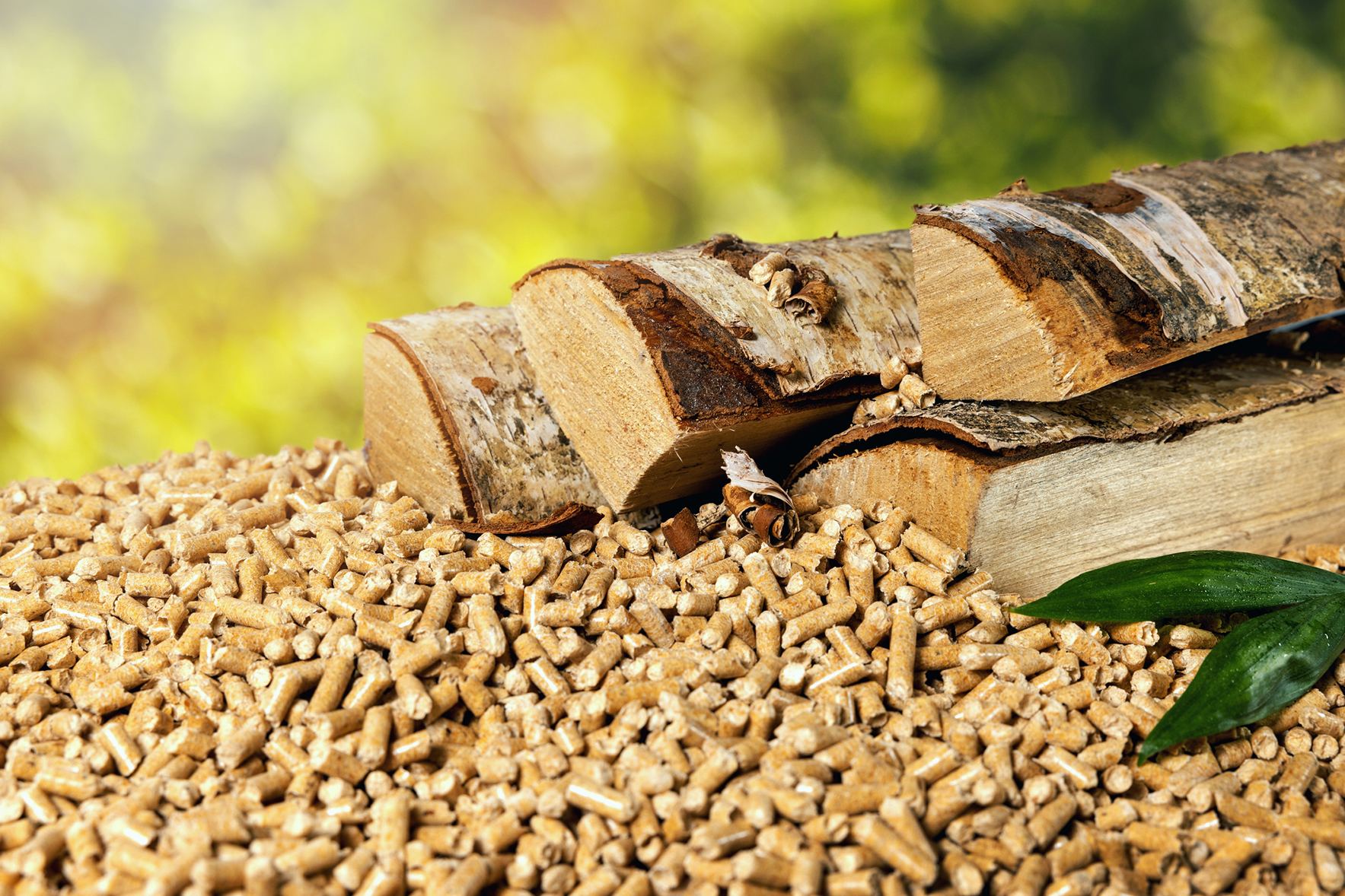 Vendita di pellet e legna da ardere