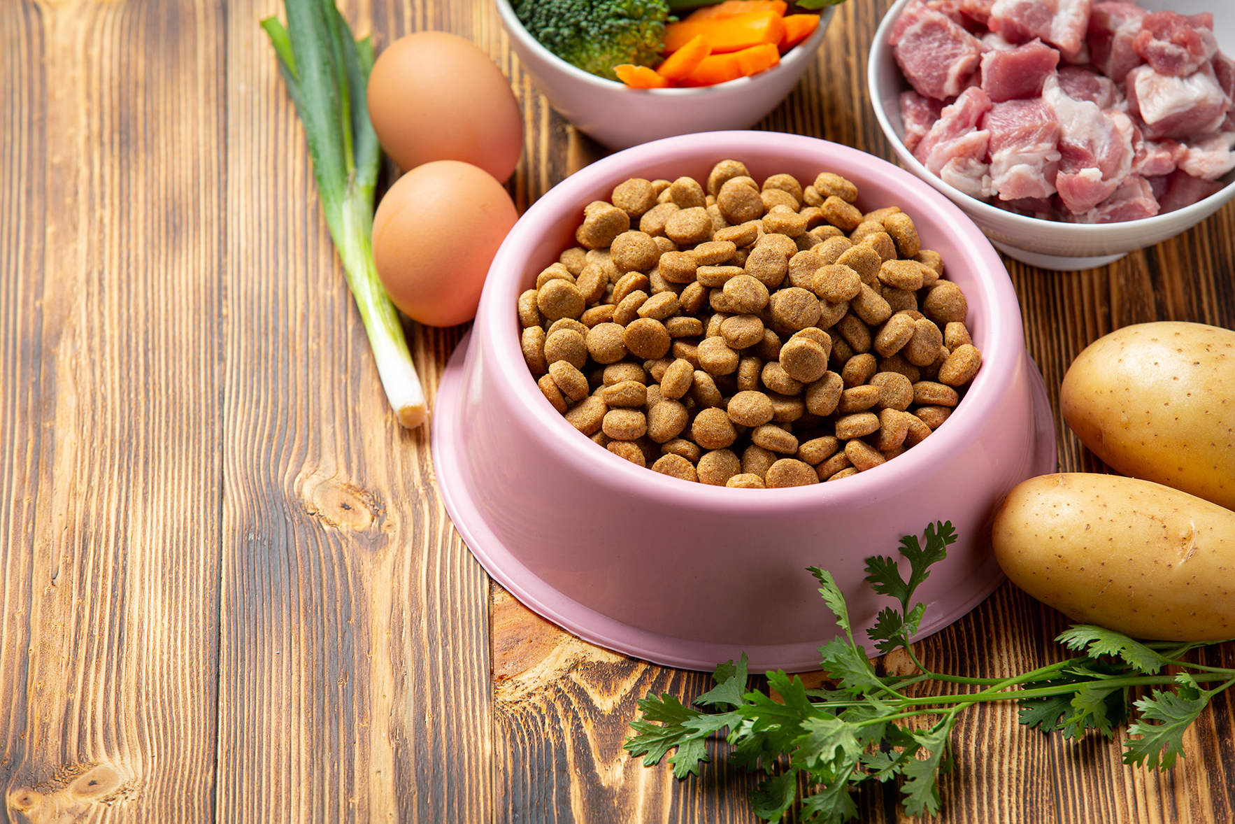 Pet food di alta qualità per i tuoi amici animali